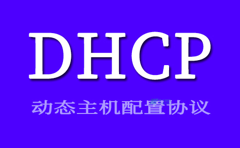 dhcp client占用cpu_dhcpclient在哪里_dhcpclient服务