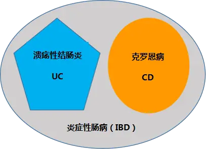 肛瘘一定是克罗恩吗-肛瘘不一定是克罗恩病，全面检查才能确诊