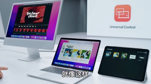 mac多系统,轻松实现Windows与macOS共存