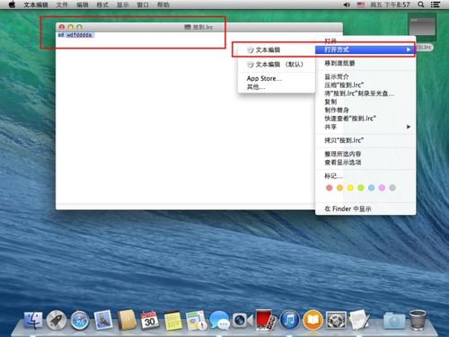 mac打开系统文件怎么打开,轻松访问和管理系统文件