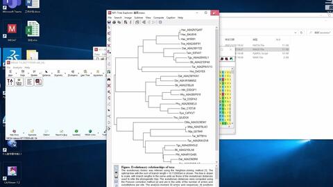 mega 系统发育树,分子进化分析的强大工具