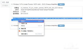 msdn怎么下系统,轻松获取纯净原版Windows系统