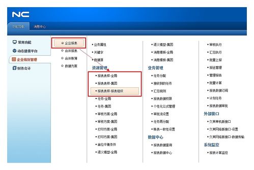 nc系统账龄,提升财务管理效率的关键工具