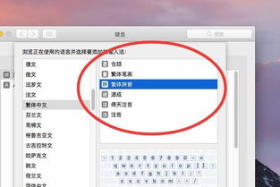 mac系统打字,高效输入，轻松上手