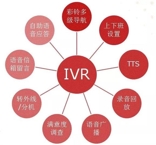 ivr系统排名,洞察行业领先者