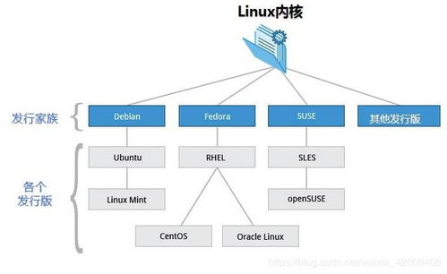 linux 分支系统,Linux 分支系统的概述与探索