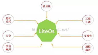 lit系统,创新与效率的完美结合