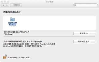 mac怎么启动双系统,轻松实现Mac OS与Windows共存