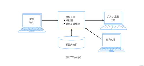 lota系统,足球数据分析的利器