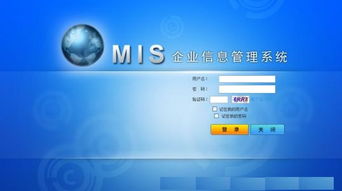 mis系统是什么意思,什么是MIS系统？