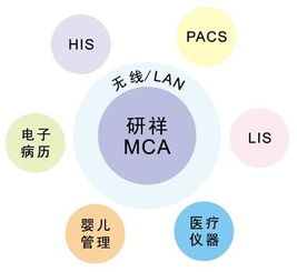 mca系统,什么是MCA系统？