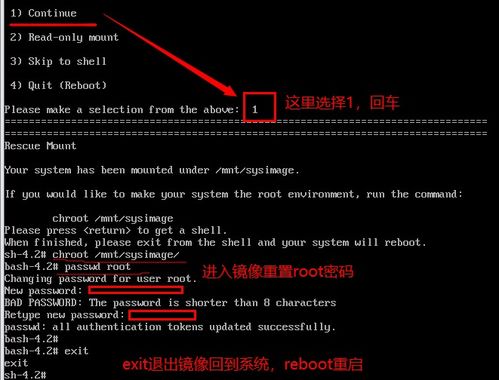 linux系统root密码了,Linux系统root密码的重要性与设置方法