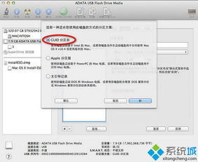 mac os u盘安装系统,Mac OS U盘安装系统全攻略