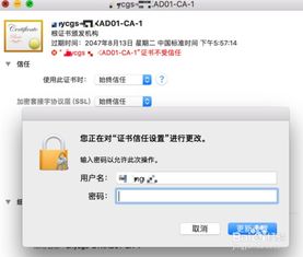 mac系统根证书,重要性、管理及更新