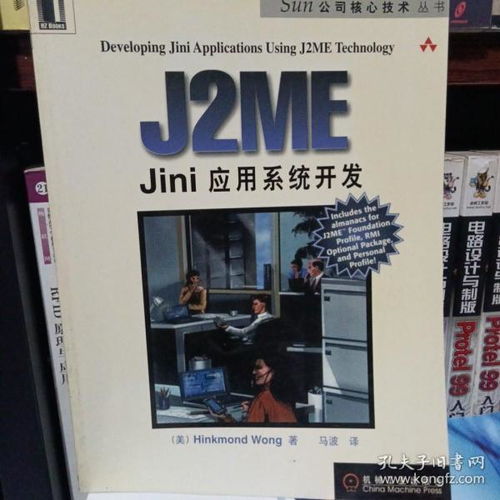 jini系统,构建高效分布式计算的未来