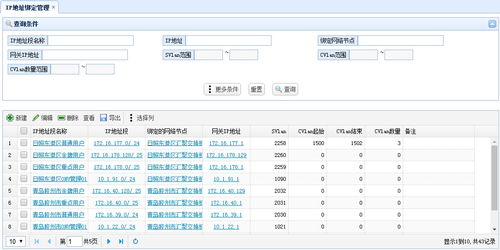 ip地址管理 系统,构建高效网络环境的关键