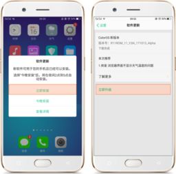 oppo手机版本更新系统