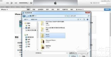 iphone的文件系统,结构、功能与访问方式