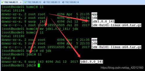 linux系统集群,构建高效、可靠的分布式环境