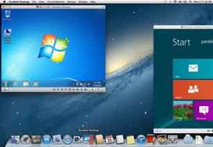 mac windows双系统,完美融合，高效办公