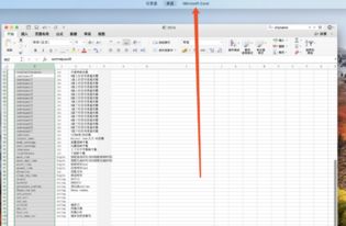 mac系统做表格,Mac系统上高效制作表格的实用指南