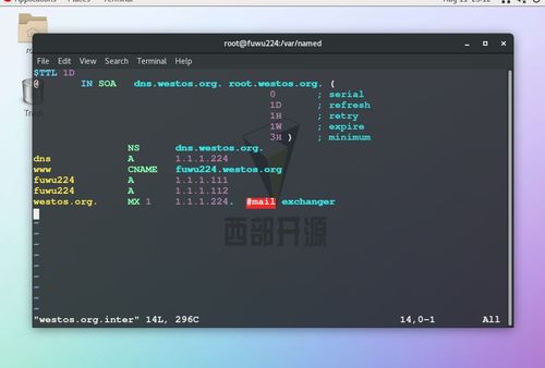 linux系统 服务器,Linux服务器概述