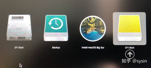 mac双系统efi,Mac双系统EFI设置与优化指南
