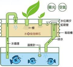 广西我的菜生态系统,广西生态系统的独特魅力