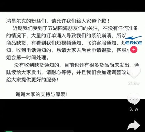 鸿星尔克系统崩溃恳请退款,鸿星尔克紧急应对系统崩溃，恳请消费者退款