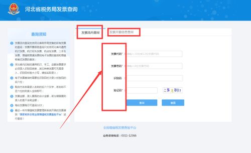 河北省发票查询系统,便捷高效的税务服务