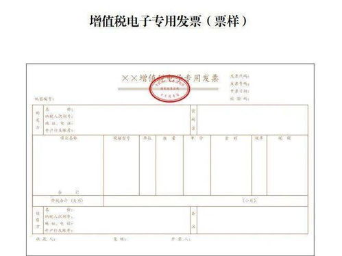 贵州国税发票系统官网,贵州国税发票系统官网——纳税服务新体验