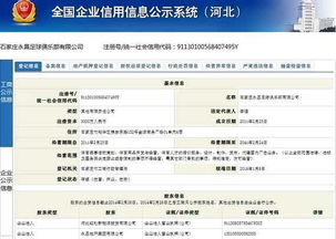 国家企业信用信息公示系统打印不出来,国家企业信用信息公示系统打印问题解析及解决方案