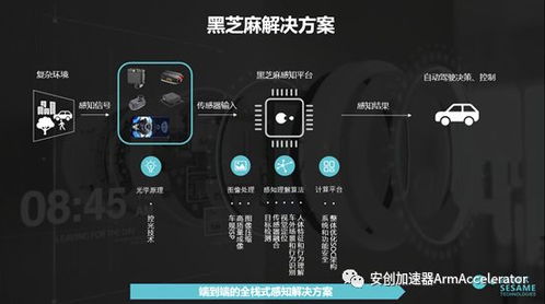 黑色科技系统,揭秘未来智能生活的秘密武器