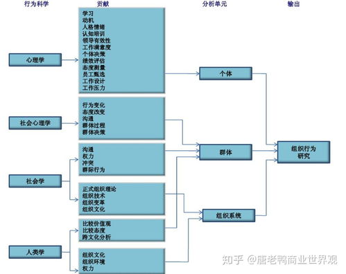 行为组织系统