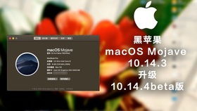 黑苹果 系统升级,轻松提升您的Mac体验