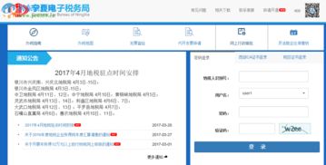 国家电子税务局网上申报系统,便捷高效纳税新时代