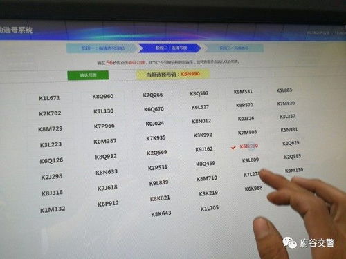 黑龙江交警网选号系统,便捷高效的车牌选号服务
