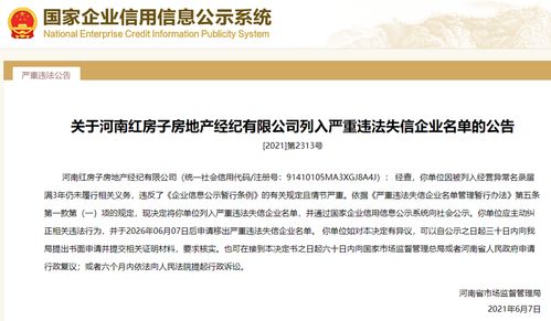 红房网系统,红房网系统——打造房地产信息平台的创新之作