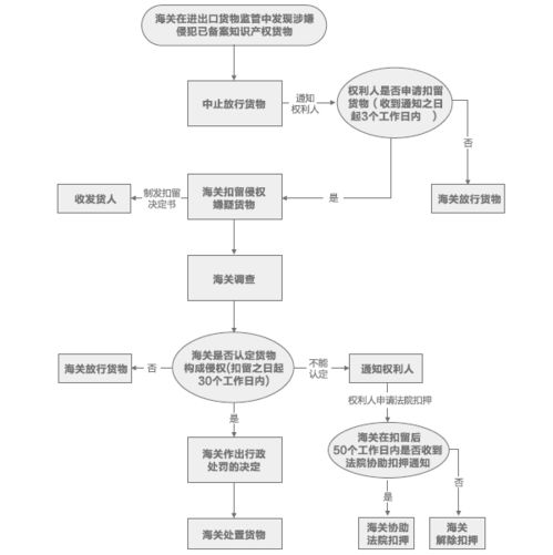 海关知识产权系统备案