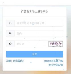 广西考试网上报名系统,便捷高效的高考报名途径
