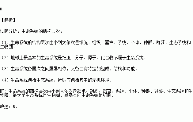 宏观生命系统,宏观生命系统的定义与特征