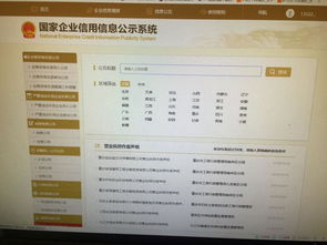 国家信用信息公式系统,构建透明高效的市场环境