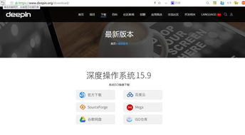 国产深度系统官网下载,深度操作系统官网下载指南