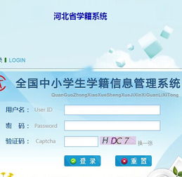 河北小学学籍查询系统,便捷查询，助力教育管理