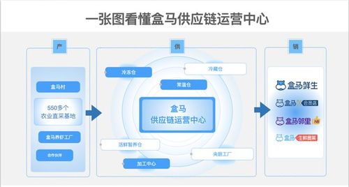 盒马采购系统,盒马采购系统的创新与优化