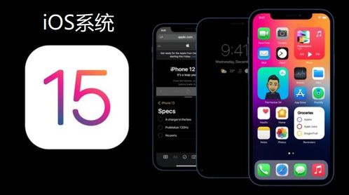 安卓教务系统开源,基于安卓教务系统开源项目的功能解析与应用拓展