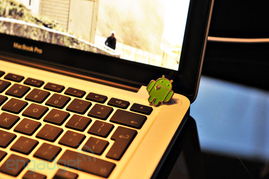 macbook pro安卓系统,开启全新体验之旅