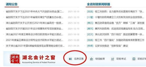 湖北会计人员信息采集系统,助力会计人才队伍建设
