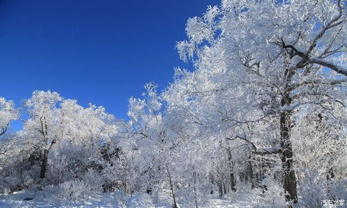 明栈雪